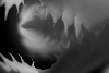 negative