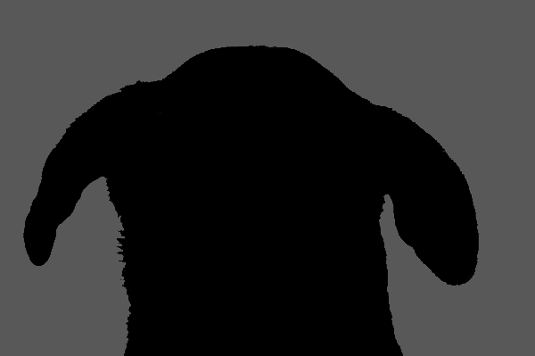 dog silhouette