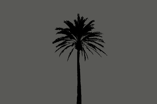 blanktravel